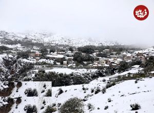 (تصاویر) بارش برف در مناطق کوهستانی شهمیرزاد - استان سمنان