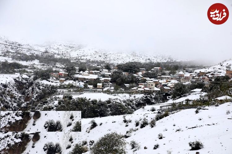 (تصاویر) بارش برف در مناطق کوهستانی شهمیرزاد - استان سمنان