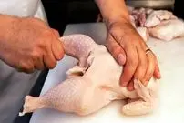 ببینید| غذای خیابانی در آمریکا؛ مرغ سوخاری و استیک تارتار در نیویورک