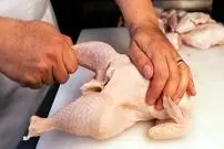 ببینید| غذای خیابانی در آمریکا؛ مرغ سوخاری و استیک تارتار در نیویورک