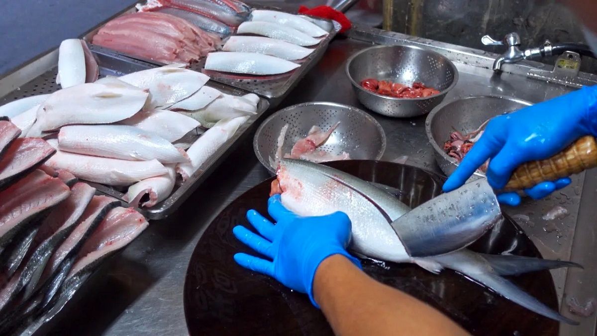 (ویدئو) مهارت دلبرای این استاد تایوانی در برش زدن سرعتی ماهی