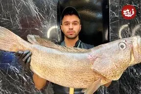 ببینید| غذای خیابانی در ایران؛ کباب ماهی هامور با سس مخصوص