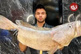 ببینید| غذای خیابانی در ایران؛ کباب ماهی هامور با سس مخصوص