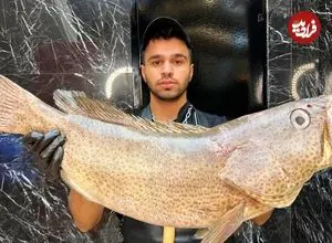 ببینید| غذای خیابانی در ایران؛ کباب ماهی هامور با سس مخصوص