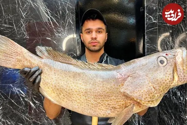 ببینید| غذای خیابانی در ایران؛ کباب ماهی هامور با سس مخصوص