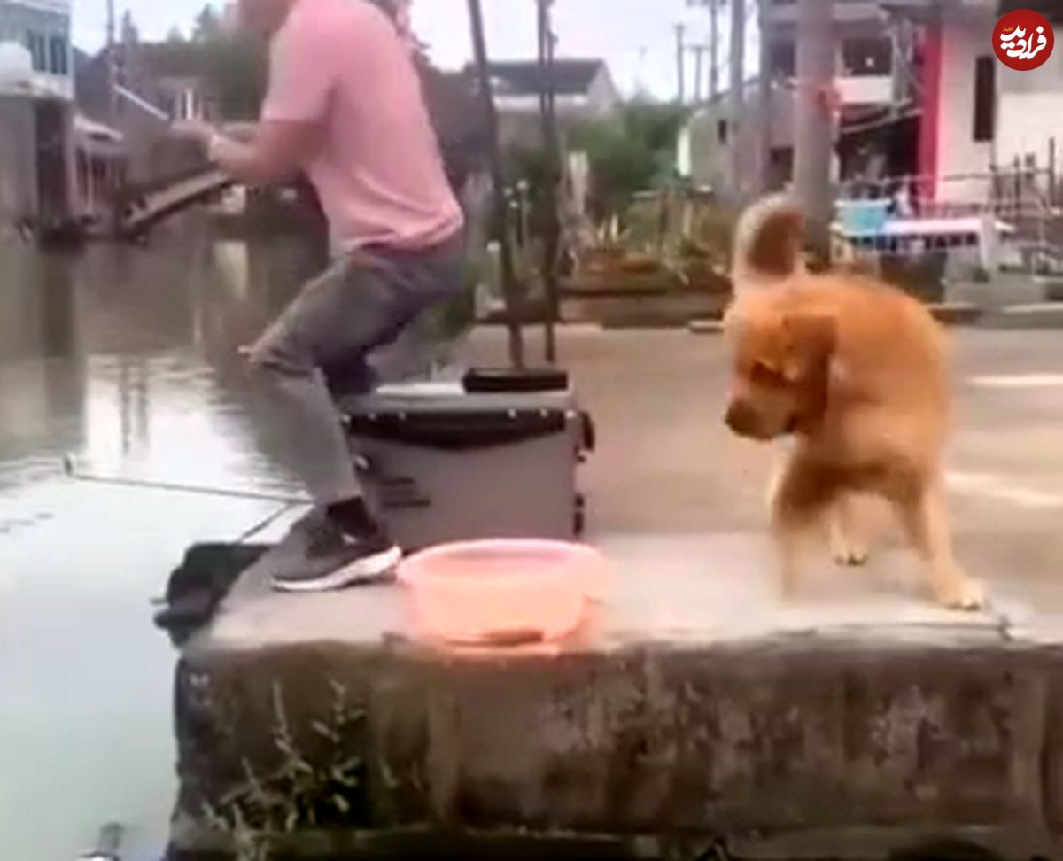 ( ویدیو) ویدیوی دیدنی از نجات یک ماهی از دست ماهیگیر توسط سگ مهربان