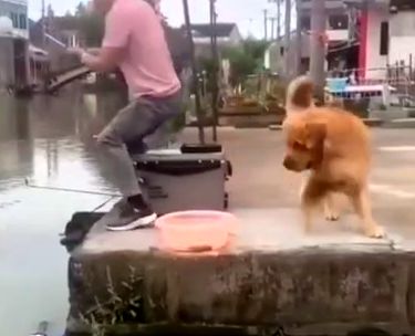 ( ویدیو) ویدیوی دیدنی از نجات یک ماهی از دست ماهیگیر توسط سگ مهربان