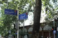 داستان ازدواج یک درباری با همسر سابق پادشاه؛ چرا ناصرالدین شاه اموال مهدی موش را بالا کشید؟