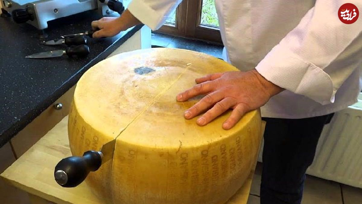 (ویدیو) پنیرهای مجهز به تراشه؛ یک پنیر 37 کیلویی پارمزان 1000 دلار قیمت دارد 