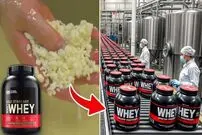ببینید؛ پروتئین وی(Whey) که بدنسازها مصرف می کنند، چگونه تولید می شود؟