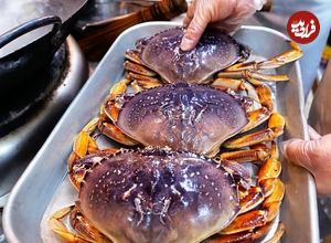 ببینید| غذای خیابانی در آمریکا؛ تهیه خوراک خرچنگ ژاپنی در نیویورک