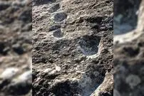 ردپاهای 350 هزارساله‌ای که روی سنگ‌های آتشفشانی به جا مانده‌اند