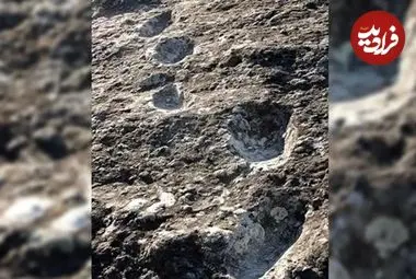 ردپاهای 350 هزارساله‌ای که روی سنگ‌های آتشفشانی به جا مانده‌اند