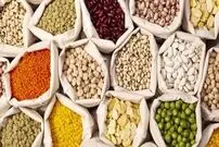 عکس| قیمت حبوبات در ایران ۷ برابر قیمت جهانی است!