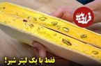 ببینید؛ طرز تهیه بستنی سنتی زعفرانی با یک لیتر شیر در خانه