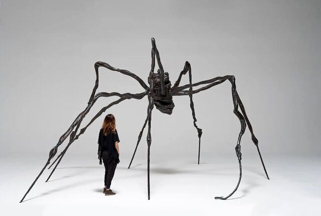 عنکبوت غول‌پیکر رکورد جهانی را جابه‌جا کرد