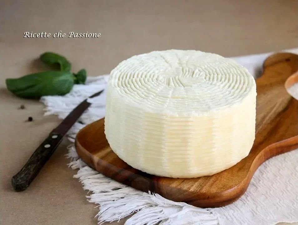(ویدئو) این پنیر خوشمزه ایتالیایی را با 5 کیلو شیر در خانه درست کنید!