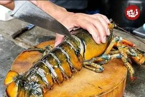 ببینید| غذای خیابانی در تایلند؛ نودل با سس مخصوص و لابستر در بانکوک