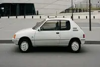 (عکس) پژو 205 سوسمار نشان!