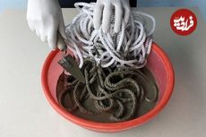 ببینید| با سیمان، دستکش و طناب یک گلدان زیبا و متفاوت بسازید