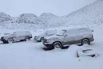 (ویدئو) آغاز بارش برف سنگین در عربستان