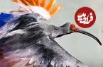 ببینید| بازگشت پرنده‌ای منقرض‌شده به طبیعت ژاپن