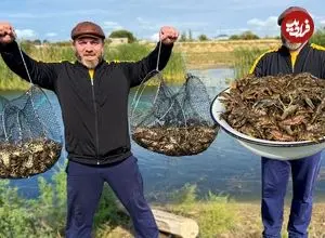 ببینید| غذای روستایی در آذربایجان؛ صید خرچنگ از رودخانه و پخت غذا آن با ذرت