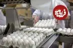 قیمت یک شانه تخم‌مرغ چند؟