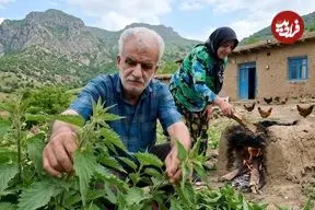 ببینید| غذای روستایی در ایران؛ برداشت گزنه از جنگل و پخت کوکو با آن در روستایی سرسبز