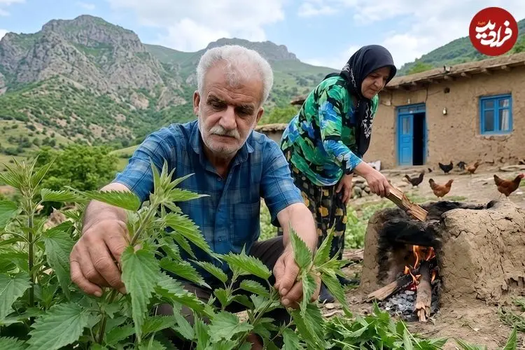 ببینید| غذای روستایی در ایران؛ برداشت گزنه از جنگل و پخت کوکو با آن در روستایی سرسبز