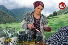 ببینید| غذای روستایی در آذربایجان؛ تهیه کمپوت آلو و پخت خوراک با مرغ در طبیعت