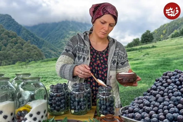 ببینید| غذای روستایی در آذربایجان؛ تهیه کمپوت آلو و پخت خوراک با مرغ در طبیعت