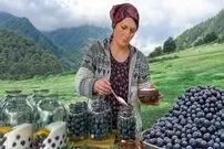 ببینید| غذای روستایی در آذربایجان؛ تهیه کمپوت آلو و پخت خوراک با مرغ در طبیعت