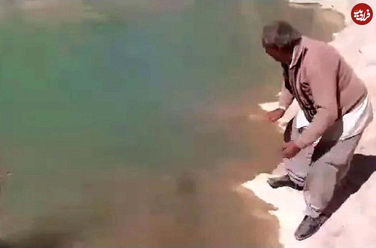 (ویدئو) صید یکی از بزرگترین ماهی های رودخانه ای ایران توسط این پیرمرد خوش شانس