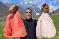 (ویدئو) نحوه پخت جگر سفید با شیر به سبک و سیاق دیدنی یک زوج روستایی آذربایجانی