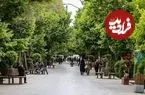 عکس| سفر به ایران قدیم؛ منظرۀ «چهارباغ اصفهان» از سمت سی و سه پل؛ 135 سال قبل