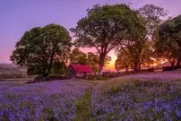 تصاویر؛ چشمگیرترین تصاویر از اولین مسابقۀ «عکاسی گل‌های وحشی» 