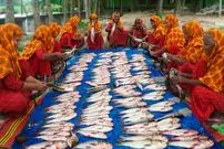 ببینید| غذای روستایی در هند؛ پخت خوراک سنتی با 100 ماهی کپور و فلفل قرمز