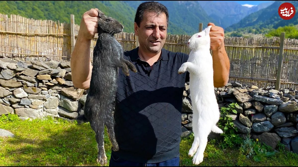 (ویدئو) پخت متفاوت دو خرگوش توسط آشپز روستایی آذربایجانی