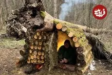 ببینید| ساخت یک پناهگاه خلاقانه زیر تنه درخت و در جنگل های اوکراین