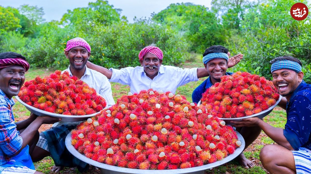 ببینید؛ غذای روستایی در هند؛ تهیه ترشی با 100 کیلو رامبوتان در طبیعت روستا