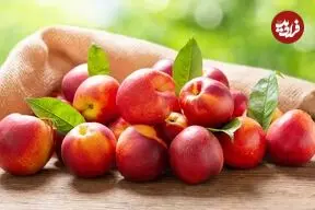با این میوه تابستانی به جنگ بیماری‌ها بروید