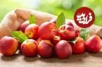 با این میوه تابستانی به جنگ بیماری‌ها بروید
