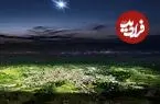شرکتی که می‌خواهد «شب» را از بین ببرد و دانشمندانی که مخالفت می‌کنند