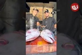 ببینید| غذای خیابانی در ایران؛ تهیه کنسرو ماهی تن به روش آشپز مشهور