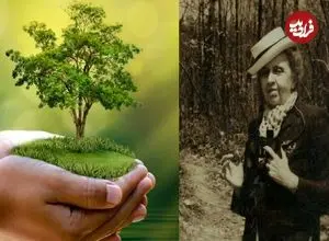 عکس| زنی که صدای درختان شد!