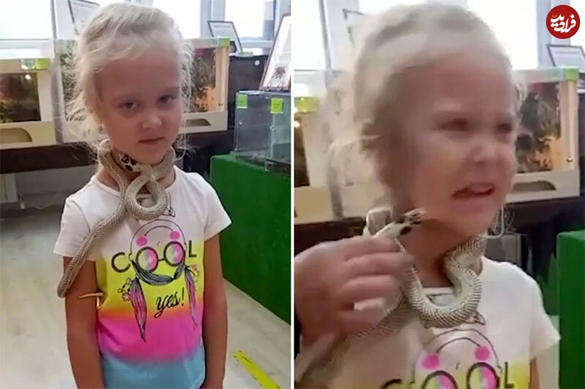 ( ویدیو) ماجرای عجیب دختر 5 ساله روس که توسط مار گاز گرفته شد!