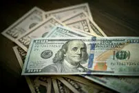 قیمت دلار امروز شنبه 30 خرداد 1405؛ صعود 3250 تومانی
