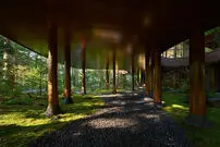 (تصاویر) معماری ژاپنی یک «ویلای درختی»؛ خانه‌ای معلق در جنگل