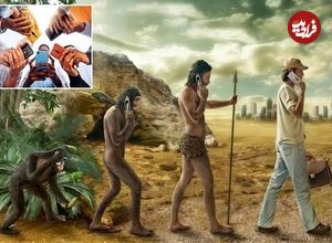 تصاویر؛ تکامل انسانها دیگر توسط «ژنها» دیکته نمیشود؛ تاثیر فرهنگ و فناوری بر تحول بشر